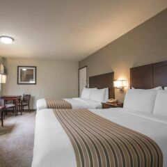 Отель Rodeway Inn Convention Center США, Лос-Анджелес - отзывы, цены и фото номеров - забронировать отель Rodeway Inn Convention Center онлайн комната для гостей фото 4