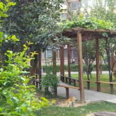 Beijing Aulympic Airport Hotel детские мероприятия