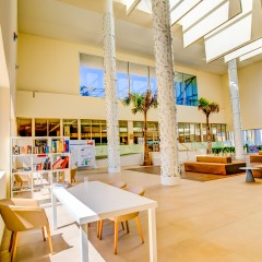 SBH Monica Beach Hotel - All Inclusive развлечения
