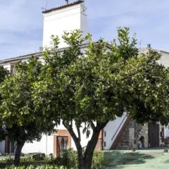 Отель Hostal San Miguel Испания, Трухильо - отзывы, цены и фото номеров - забронировать отель Hostal San Miguel онлайн фото 6