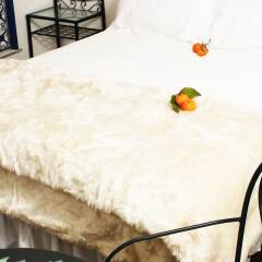 Отель Hostal Santo Domingo с домашними животными