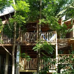 Отель Zimbali Retreats фото 5