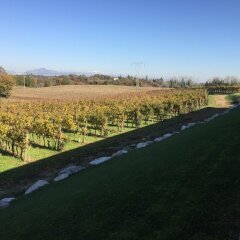 Отель Agriturismo Colle Dei Pivi Понти-суль-Минчо фото 5