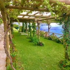 Отель B&B Il Pavone Конка деи Марини