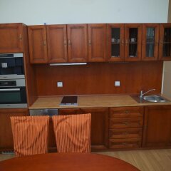 Апартаменты City Apartment Прага в номере фото 2