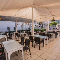 Bodrum Maya Hotel гостиничный бар