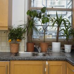 Отель Spacious Flat In Central London в номере фото 2