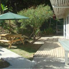 Отель Gecko Lodge Fiji Савусаву с домашними животными