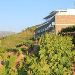 Отель Delfim Douro Ламего фото 3