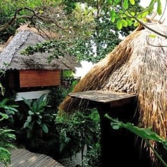 Отель Thipwimarn Resort Koh Tao фото 7