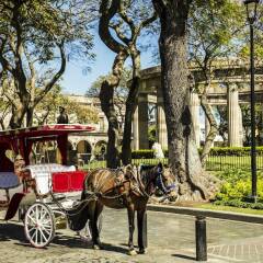 Отель Gamma Guadalajara Centro Histórico Мексика, Гвадалахара - отзывы, цены и фото номеров - забронировать отель Gamma Guadalajara Centro Histórico онлайн детские мероприятия