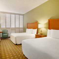 Отель California Hotel and Casino США, Лас-Вегас - отзывы, цены и фото номеров - забронировать отель California Hotel and Casino онлайн комната для гостей фото 5