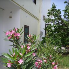 Mastorakis Hotel And Studios фото 7