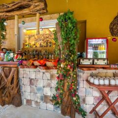 Отель Holbox Dream Beach Front Hotel by Xperience Hotels Мексика, Остров Ольбокс - отзывы, цены и фото номеров - забронировать отель Holbox Dream Beach Front Hotel by Xperience Hotels онлайн гостиничный бар
