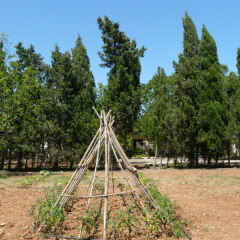 Отель Agroturismo Es Palmer детские мероприятия фото 2