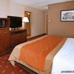 Comfort Inn Shady Grove - Gaithersburg - Rockville in Gaithersburg, United States of America from 124$, photos, reviews - zenhotels.com room amenities photo 2