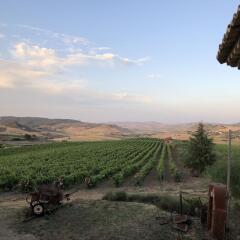 Отель Agriturismo Gigliotto Пьяцца-Армерина фото 6