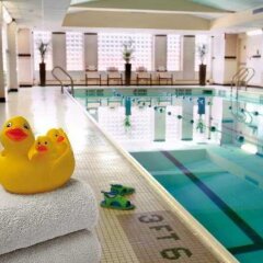 Отель New York Marriott Downtown США, Нью-Йорк - отзывы, цены и фото номеров - забронировать отель New York Marriott Downtown онлайн бассейн