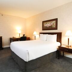 Отель Atrium Inn Vancouver Канада, Ванкувер - отзывы, цены и фото номеров - забронировать отель Atrium Inn Vancouver онлайн комната для гостей
