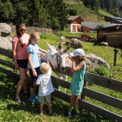 Отель Alphotel Tyrol Рачинес-Ратскингс приотельная территория фото 2