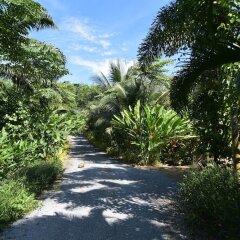 Отель Baan Suan Farmstay Ланта фото 2