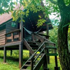 Отель Nature Lodge детские мероприятия
