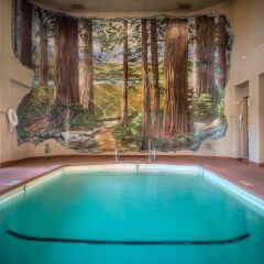 The Redwood Riverwalk Hotel с домашними животными