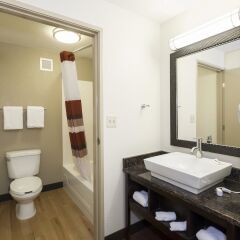 Отель Red Roof Inn PLUS+ Columbus Downtown - Convention Center США, Колумбус - отзывы, цены и фото номеров - забронировать отель Red Roof Inn PLUS+ Columbus Downtown - Convention Center онлайн ванная