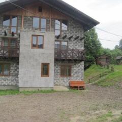 Гостиница Guest House Stari Druzy фото 11