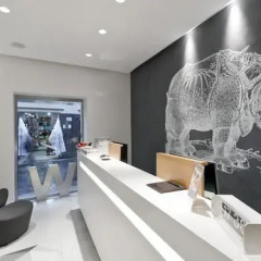 White Hotel интерьер отеля фото 3