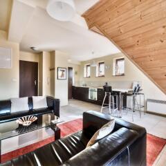 Отель Apartamenty Sun&Snow Kościelisko Chotarz Косцелиско комната для гостей фото 3