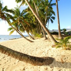 Sunhaven Beach Bungalows in Rarotonga, Cook Islands from 209$, photos, reviews - zenhotels.com beach photo 2