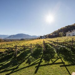 Отель Weingut Donà Аппиано-сулла-Страда-дель-Вино фото 5