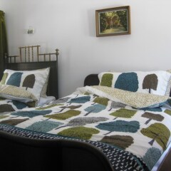 Отель Little River Guest House OLD Боженци комната для гостей фото 3