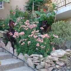 Гостиница Aida Guest House в Сочи отзывы, цены и фото номеров - забронировать гостиницу Aida Guest House онлайн фото 10