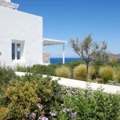 Milos Breeze Boutique Hotel фото 12
