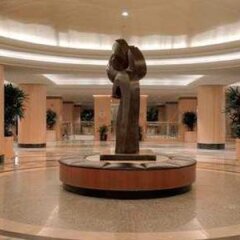 Отель Hilton Gran Vacation Hilton США, Нью-Йорк - отзывы, цены и фото номеров - забронировать отель Hilton Gran Vacation Hilton онлайн фото 5