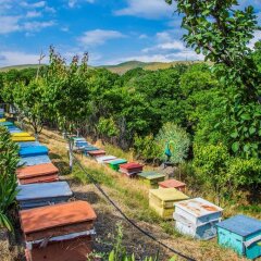 Отель HyeLandz Eco Village Resort развлечения