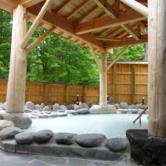 Okunikko Kogen Hotel Никко бассейн фото 3