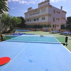 Отель Marina Palmanova Apartamentos Испания, Пальманова - отзывы, цены и фото номеров - забронировать отель Marina Palmanova Apartamentos онлайн фото 17