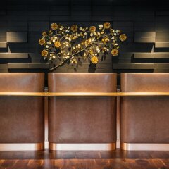 The Darcy Hotel развлечения