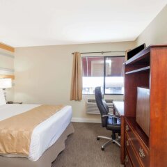 Отель Knights Inn Los Angeles Central / Convention Center Area США, Лос-Анджелес - отзывы, цены и фото номеров - забронировать отель Knights Inn Los Angeles Central / Convention Center Area онлайн комната для гостей фото 2