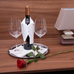 Отель Primus Hotel & Apartments Австрия, Вена - отзывы, цены и фото номеров - забронировать отель Primus Hotel & Apartments онлайн фото 20