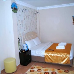 Lotus Hotel Стамбул фото 16