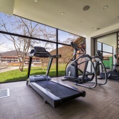 Отель Lopota Lake Resort & Spa фитнесс-зал фото 2