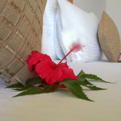 Отель Sole Luna Resort & Spa удобства в номере