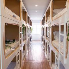 Отель The Mulberry Tree Lisbon Hostel Португалия, Лиссабон - отзывы, цены и фото номеров - забронировать отель The Mulberry Tree Lisbon Hostel онлайн развлечения