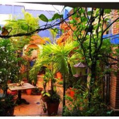 Suitel 522 Eco Hostel балкон