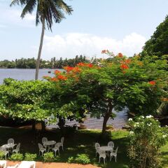 Отель Waterside Bentota Шри-Ланка, Бентота - отзывы, цены и фото номеров - забронировать отель Waterside Bentota онлайн приотельная территория