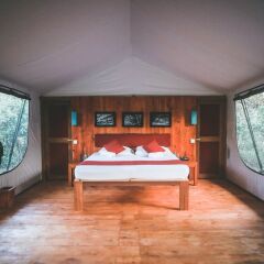 Отель Wild Trails Yala Tented Safari Camp By Yoho сейф в номере